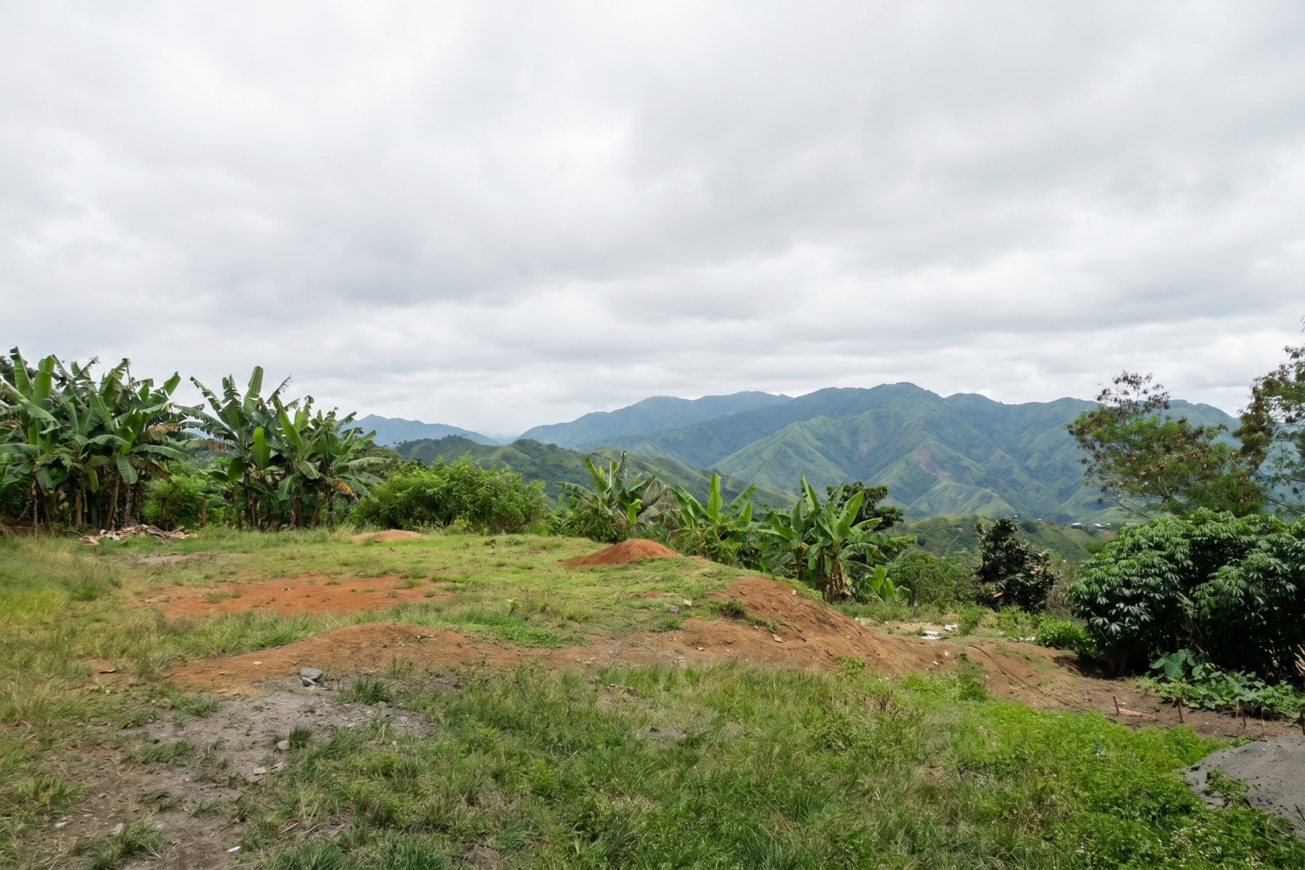 The hillside site before construction