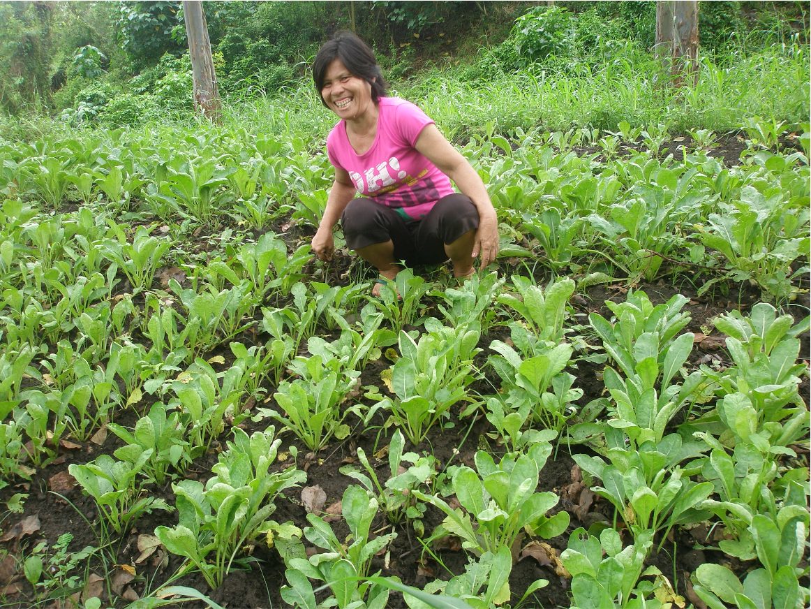 A Filipino woman tending crops in her garden